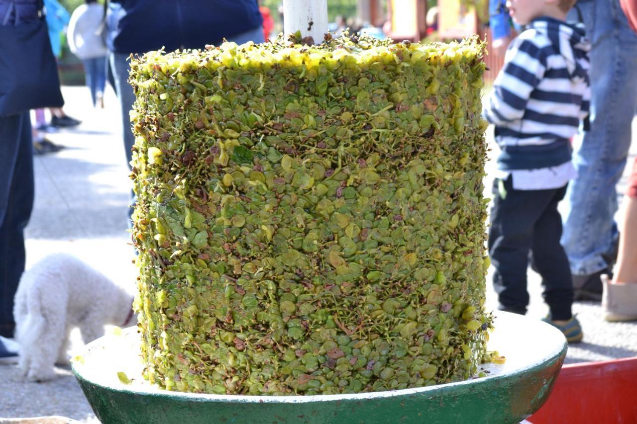 Penzion Sedlecka Vina セドレツ エクステリア 写真