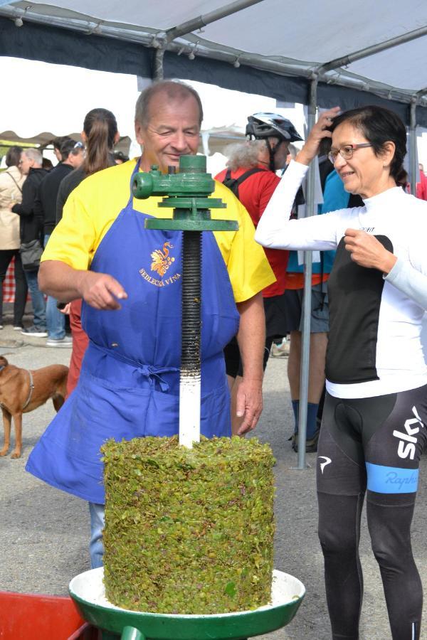 Penzion Sedlecka Vina セドレツ エクステリア 写真