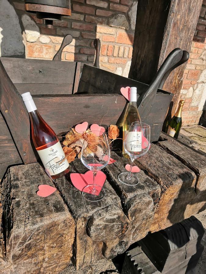 Penzion Sedlecka Vina セドレツ エクステリア 写真